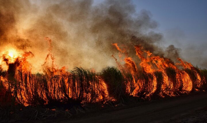 L.A. wildfires are changing the U.S. housing market